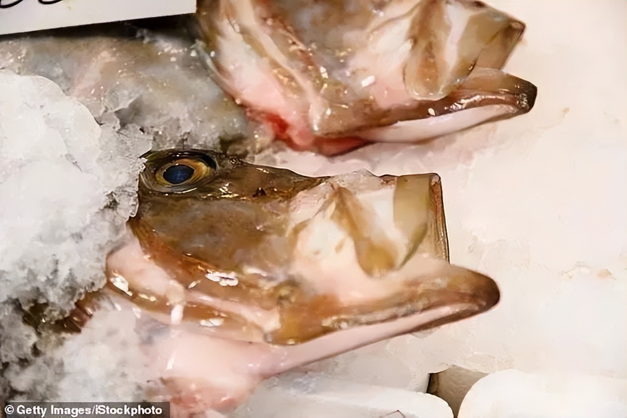 澳洲深海海鲜,澳洲海鲜如何挑选