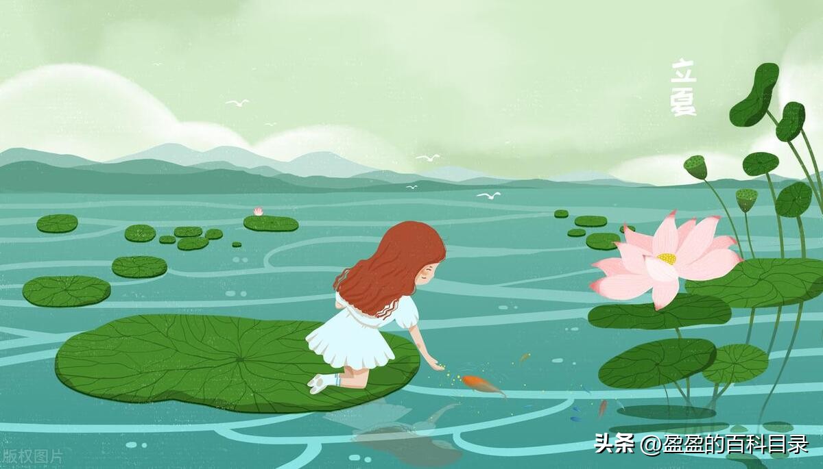 立夏第一天注意什么,立夏后注意事项与养生