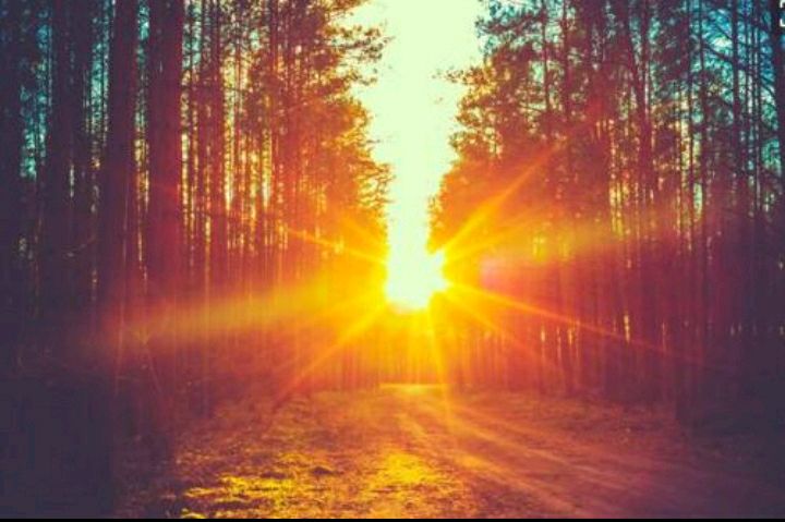 娣＄劧鐪嬪敖涓栦簨鍐呭績瀹夌劧涓嶅彉,鐪嬫贰涓栦簨娌ф鍐呭績瀹侀潤瀹夎