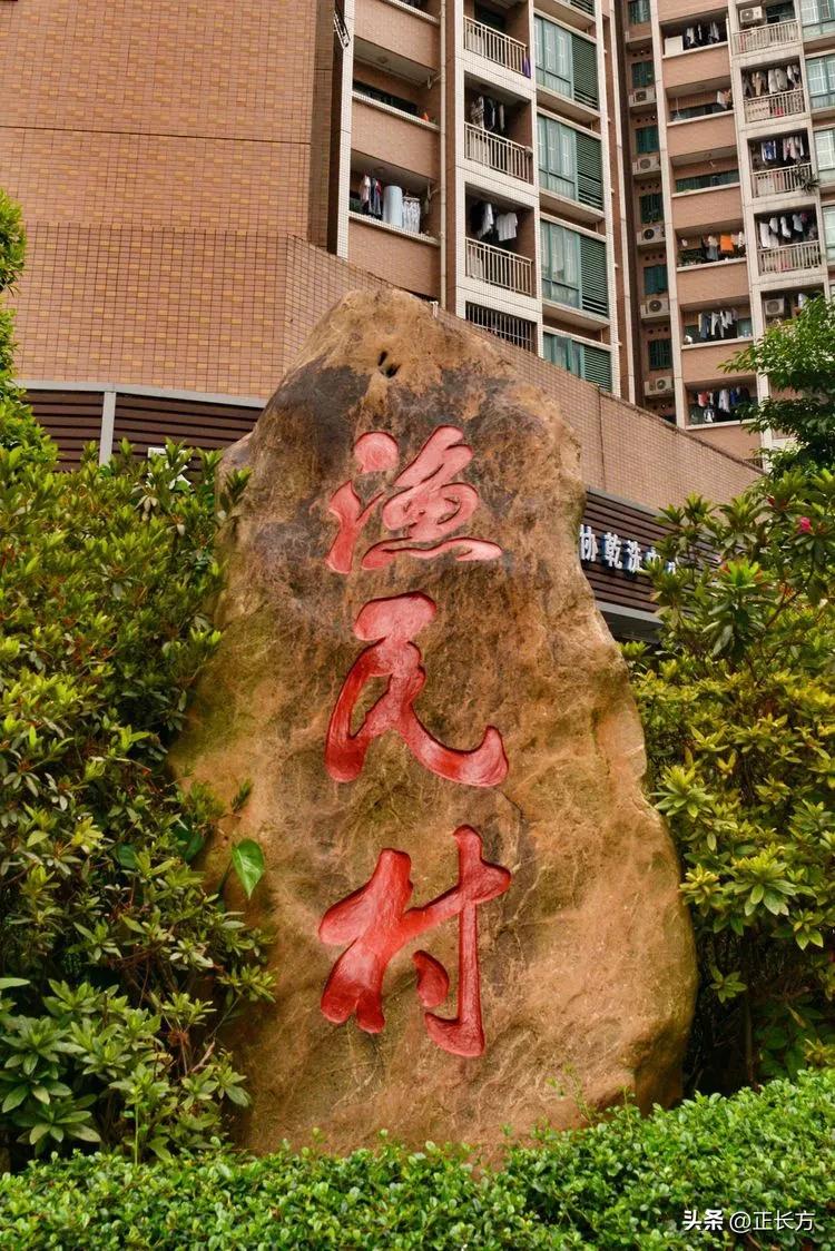 源源活水深圳河!(二)