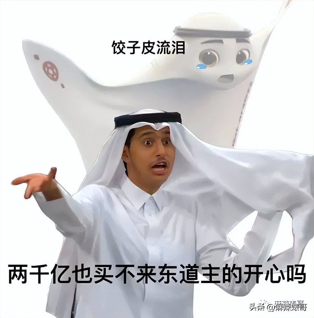 金晨模仿卡塔尔小王子晒照,金晨模仿卡塔尔王子被起诉了吗