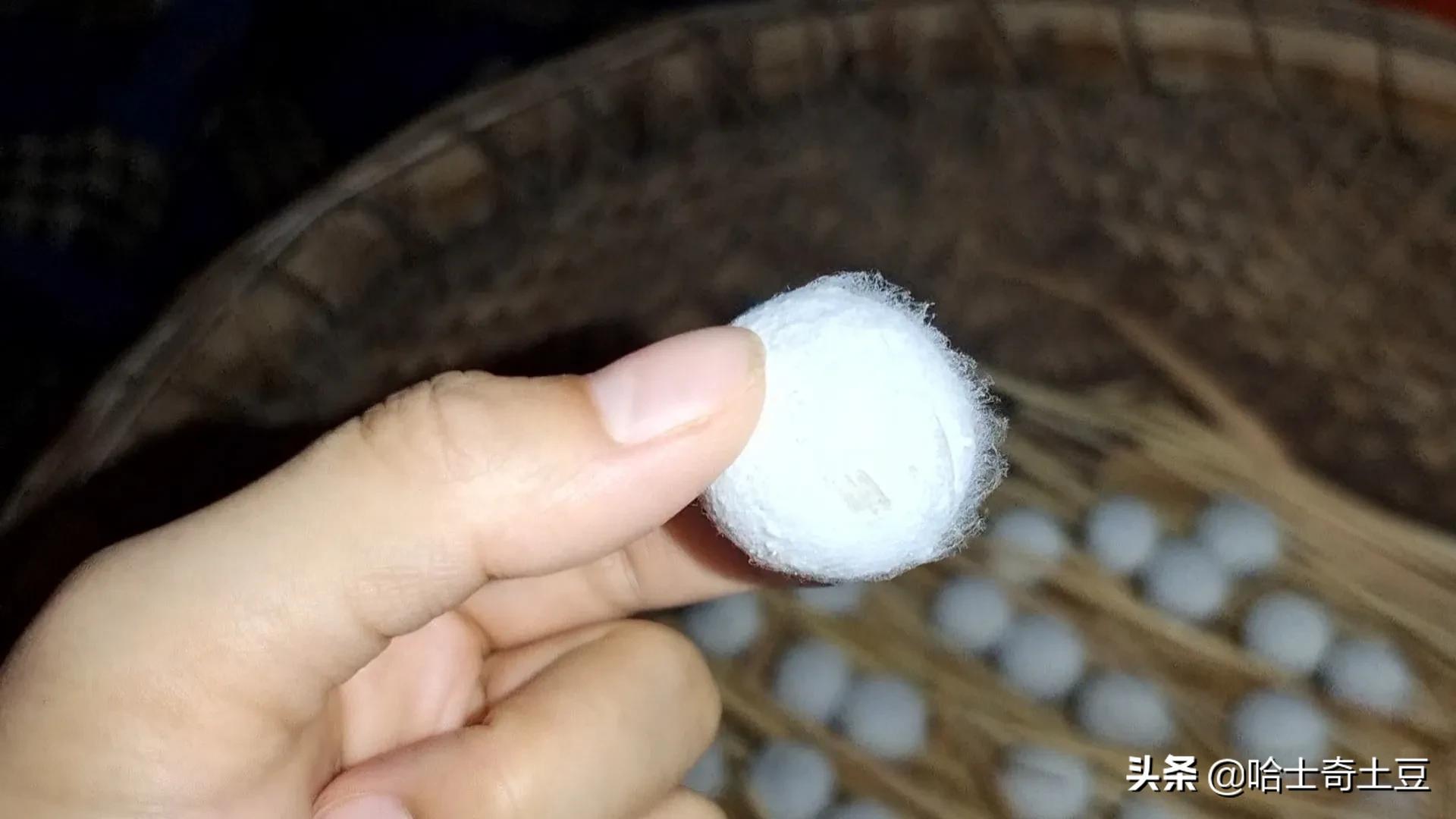 做酒酿500克糯米甜酒曲放多了,纯手工甜酒小丸子摆摊做法