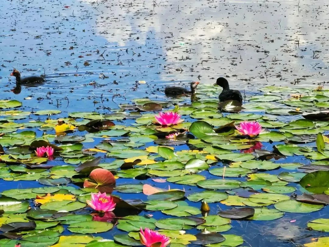 遇见20岁的男孩,遇见20年前的人