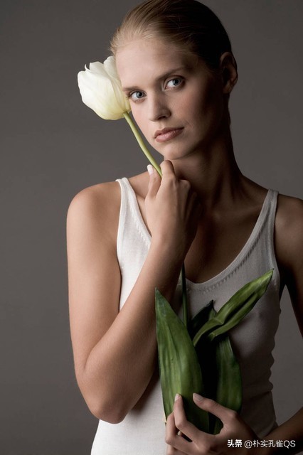 郁金香迫击炮,郁金香的养殖方法