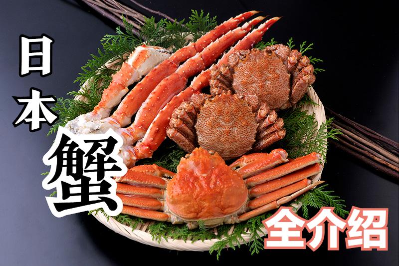 去日本必吃的五种海鲜,到日本必吃的饕餮美食