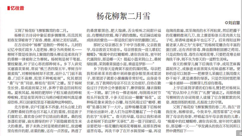 刘启慧丨杨花柳絮二月雪