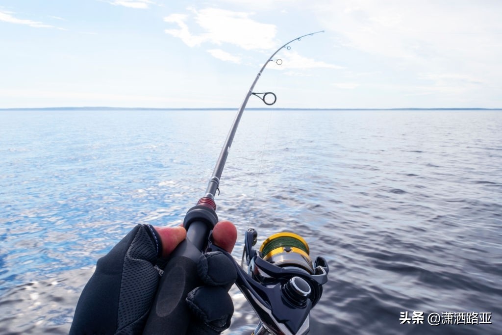 路亚钓友公认十款最好钓竿,新手入门该如何选择路亚钓竿