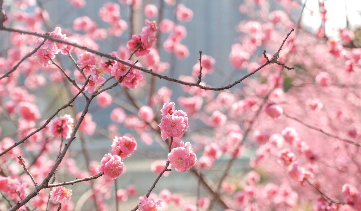 如何解读两性思维差异,如何了解两性思维差异