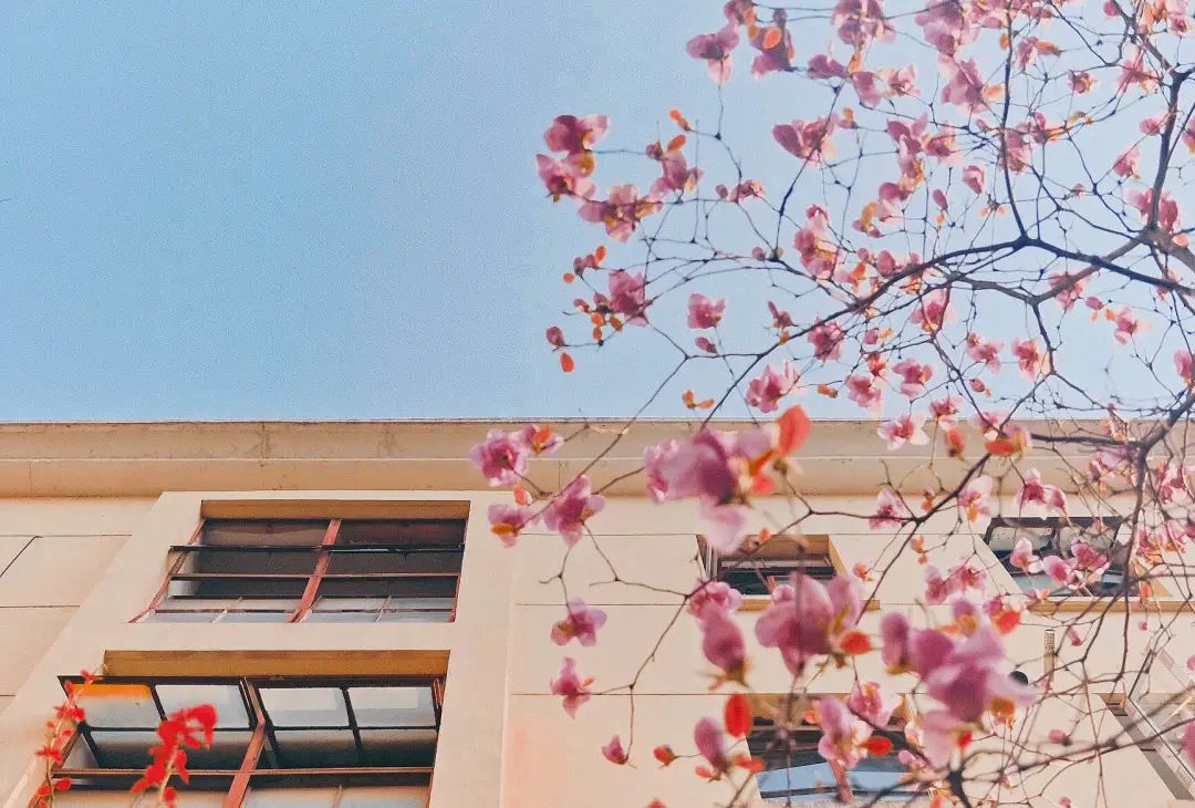 错过了一个秋天,错过了一个春秋