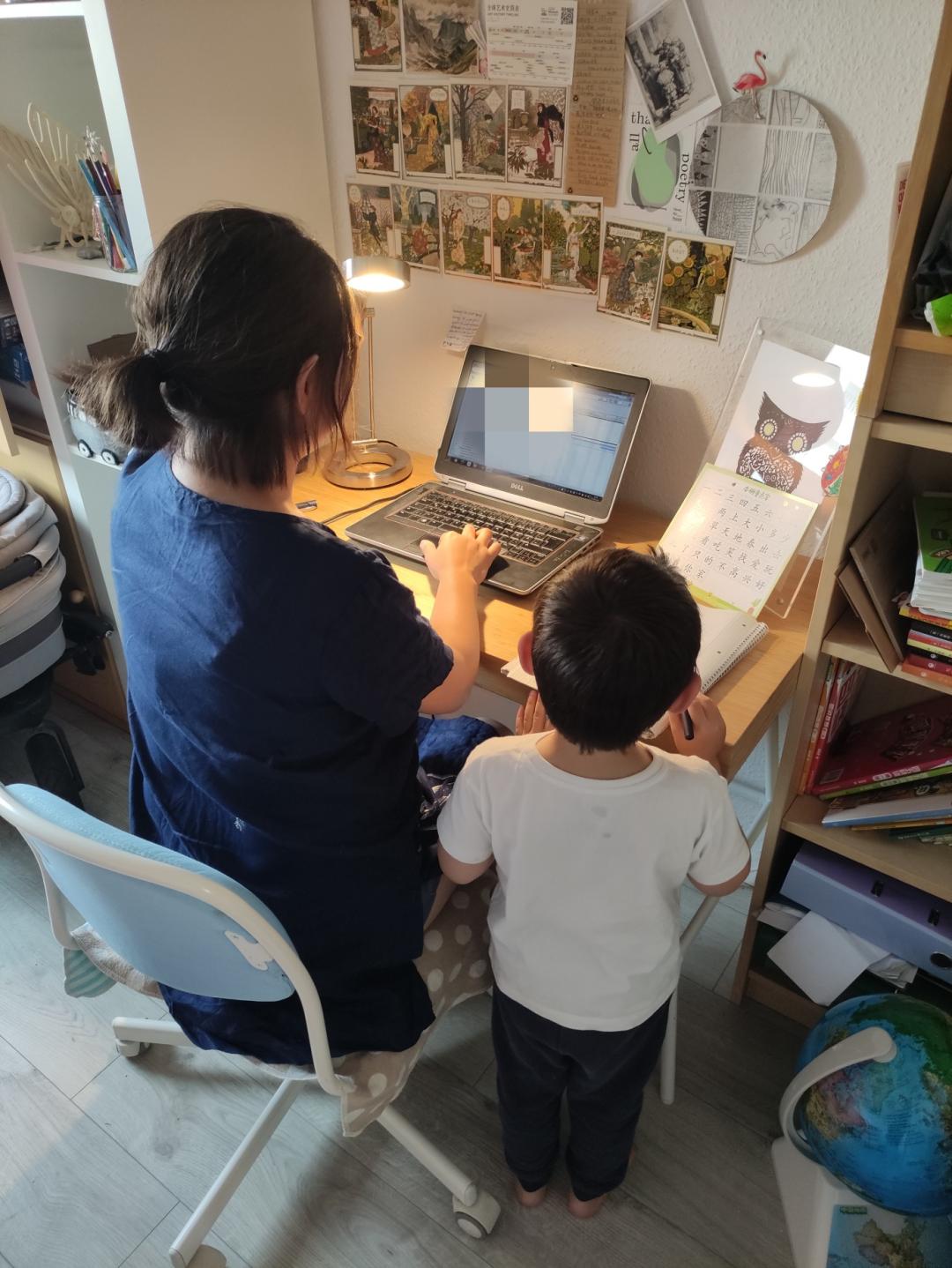 生育率下降的全球趋势,全球生育率下降趋势