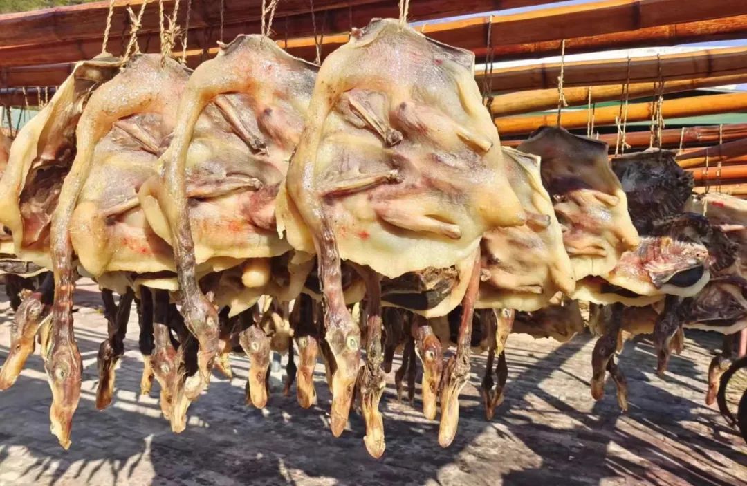 赣州沙地德源板鸭食品有限公司,江西赣州德源沙地板鸭