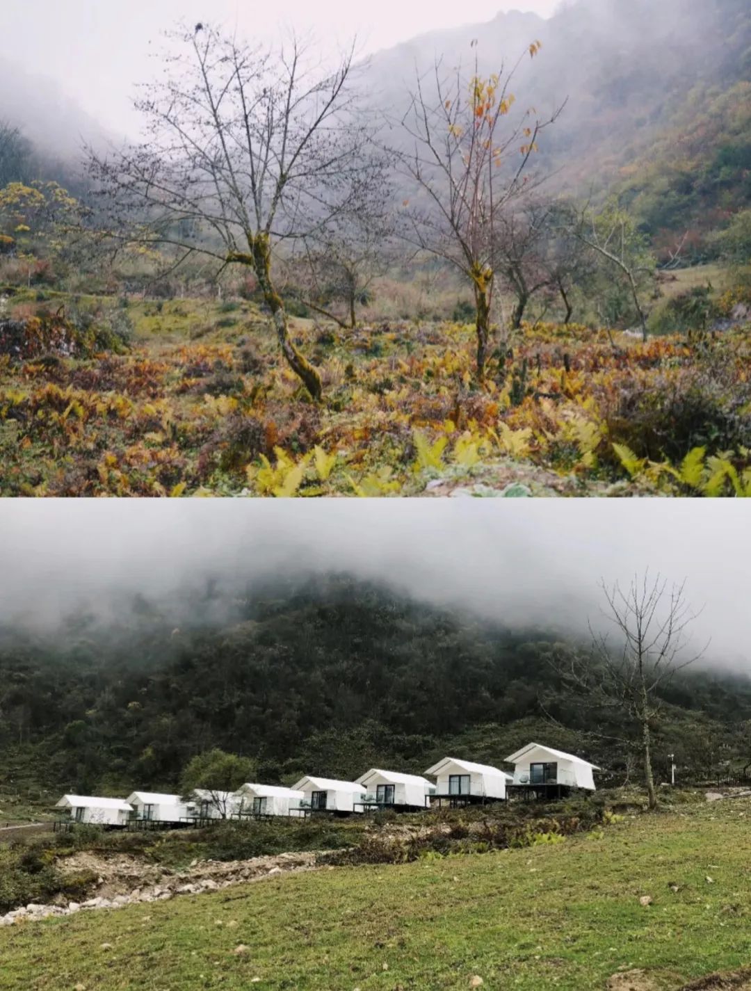 成都周边安静的民宿套房,成都周边清净民宿