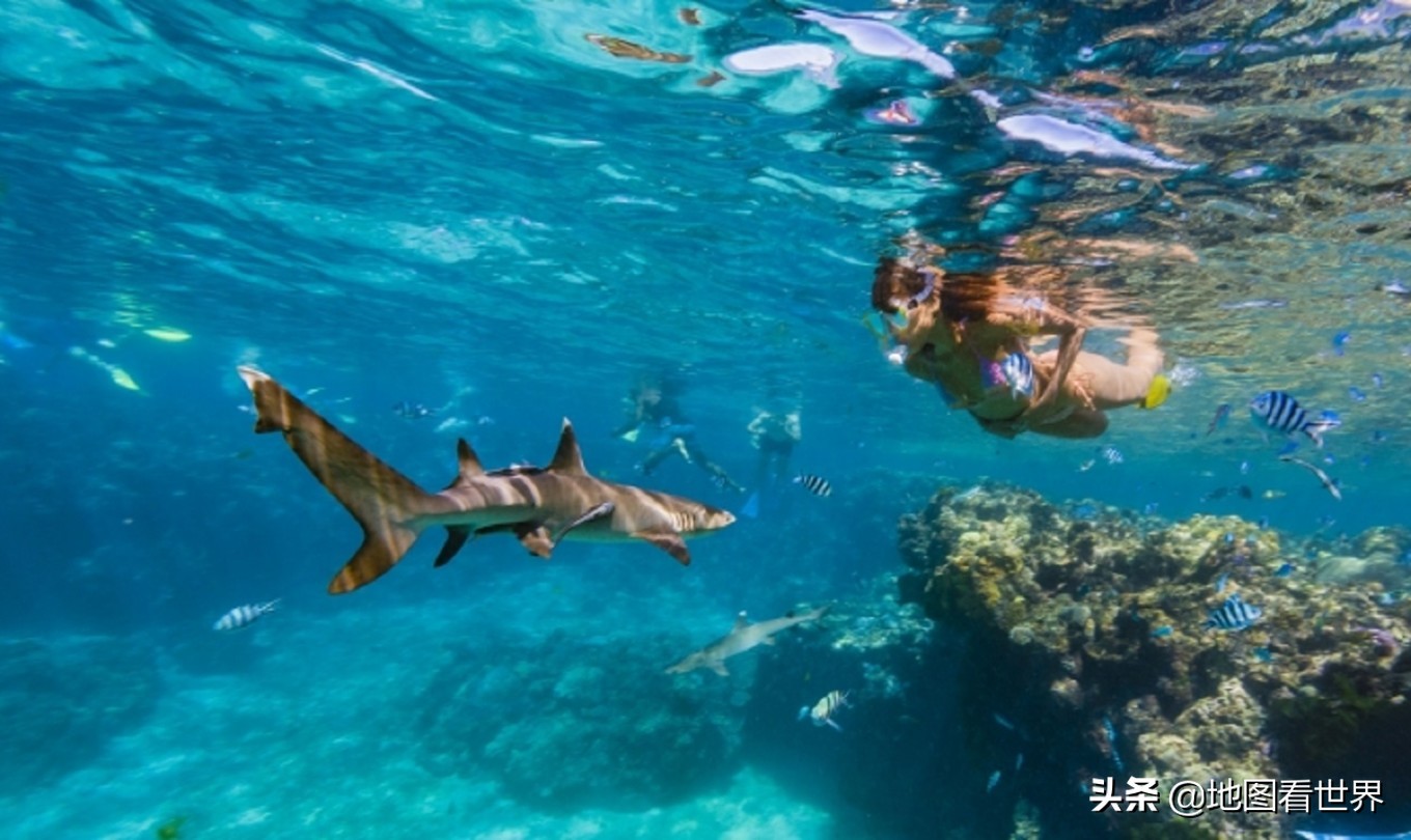 国家趣谈纪录片,斐济有什么特点斐济值得去吗