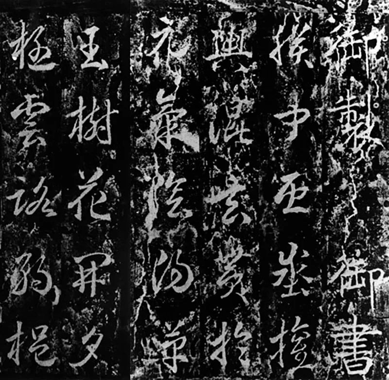 杨健君书法真迹,杨健君书法教程