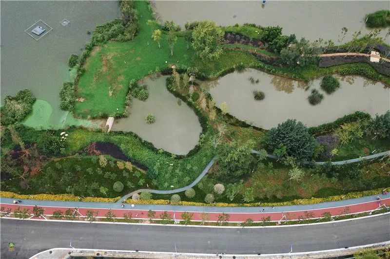 迈开脚步看风景别辜负昆明好风光,带你看云南昆明美景