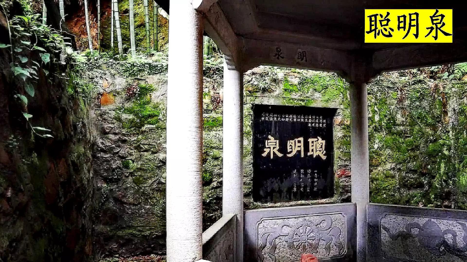 佛教圣地东林寺,东林寺祖庭与净土宗有何区别