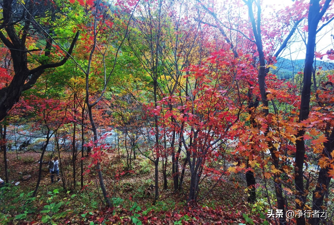 图们江口岸游记,从图们市到牡丹江自驾游