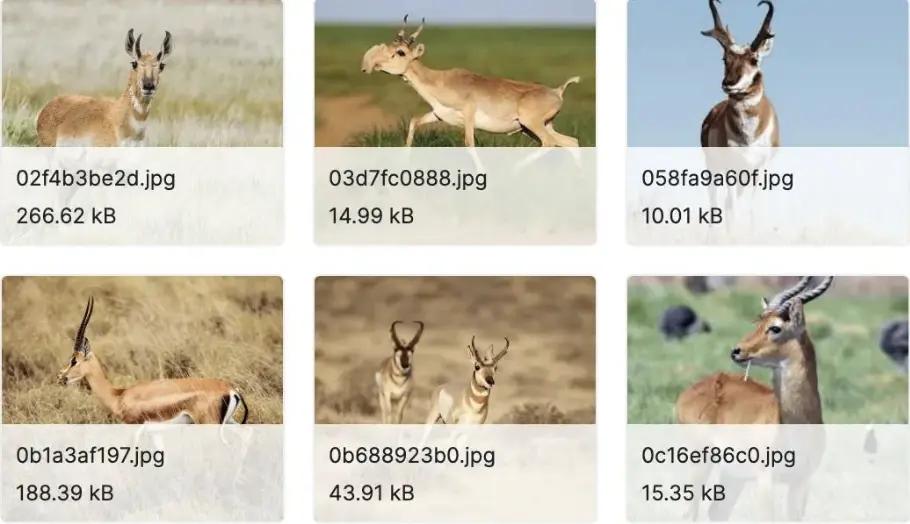 60+开源数据集资源大合集（医学图像、卫星图像、自动驾驶等）