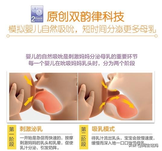 吸奶器选哪种好用,吸奶器选择哪个品牌好