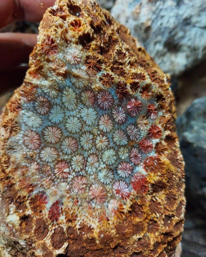 39张罕见的图片让人打开新世界,这32张罕见的图片你见过几张