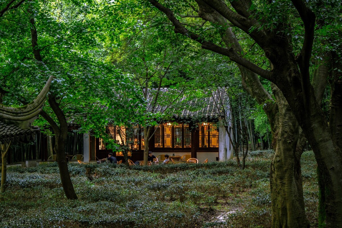 苏州旅游攻略免费旅游地点,苏州两天一晚游玩攻略