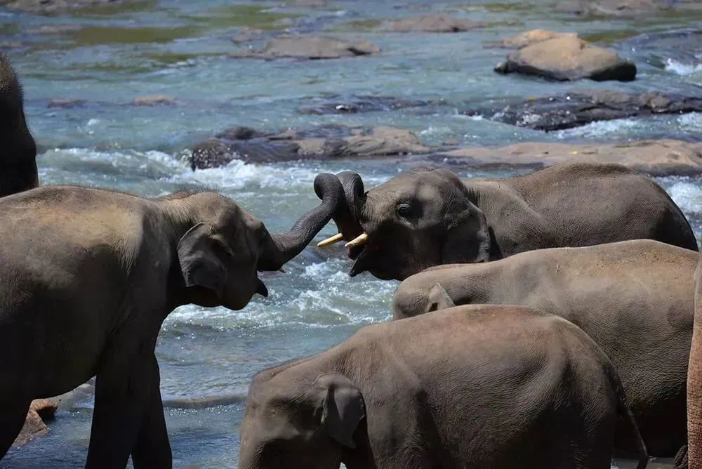 五一3-5天短途旅游推荐报团,五一3-5天短途旅游推荐一个人