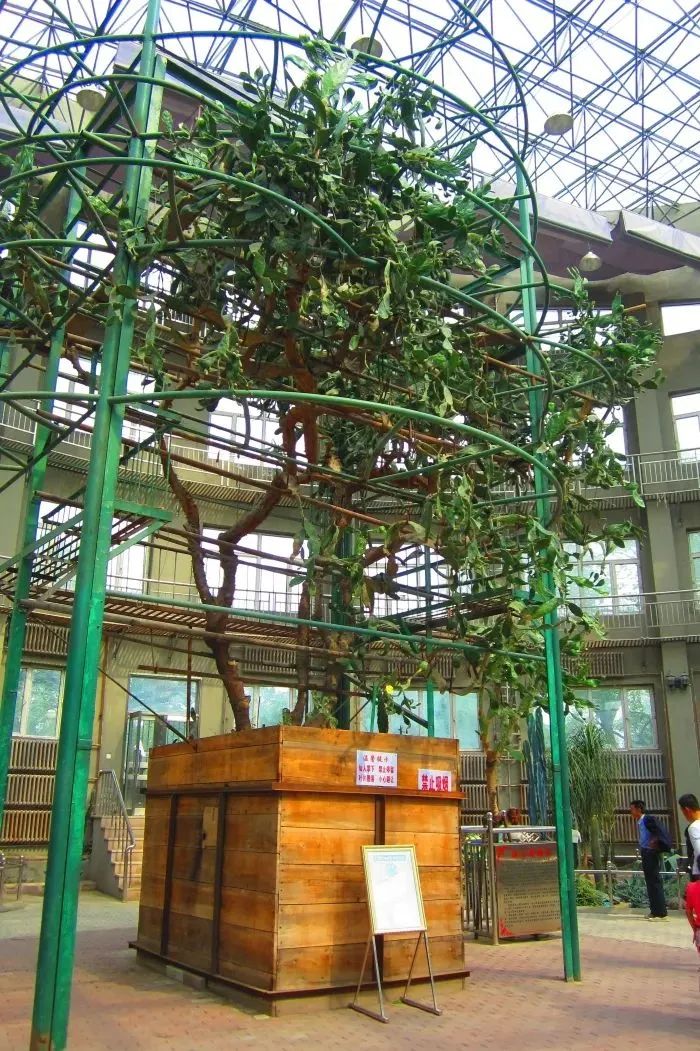 鏃跺厜浜ら敊鏈楄,鏃跺厜浜ょ粐