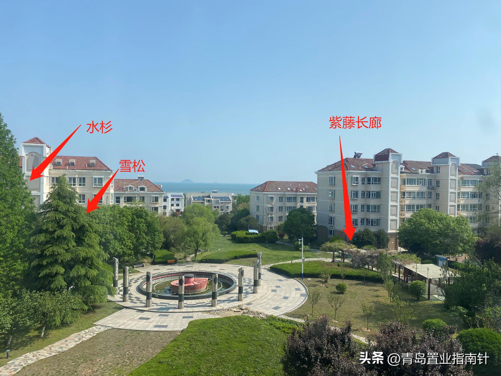 青岛张村河新房价格掉了吗,青岛张村河房子能买吗