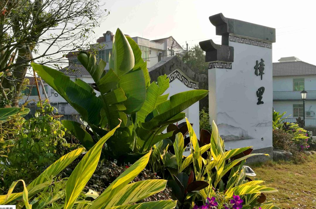 在温过大年！这几条“百县千碗”美食体验线路真的好吃又好玩