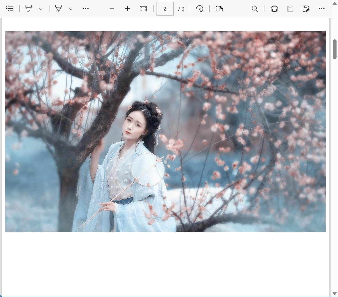 word文档如何变成图片格式的pdf,adobeacrobat怎么把excel转成pdf
