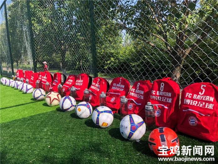 女足夺冠新闻摘抄简短30条,女足夺冠故事