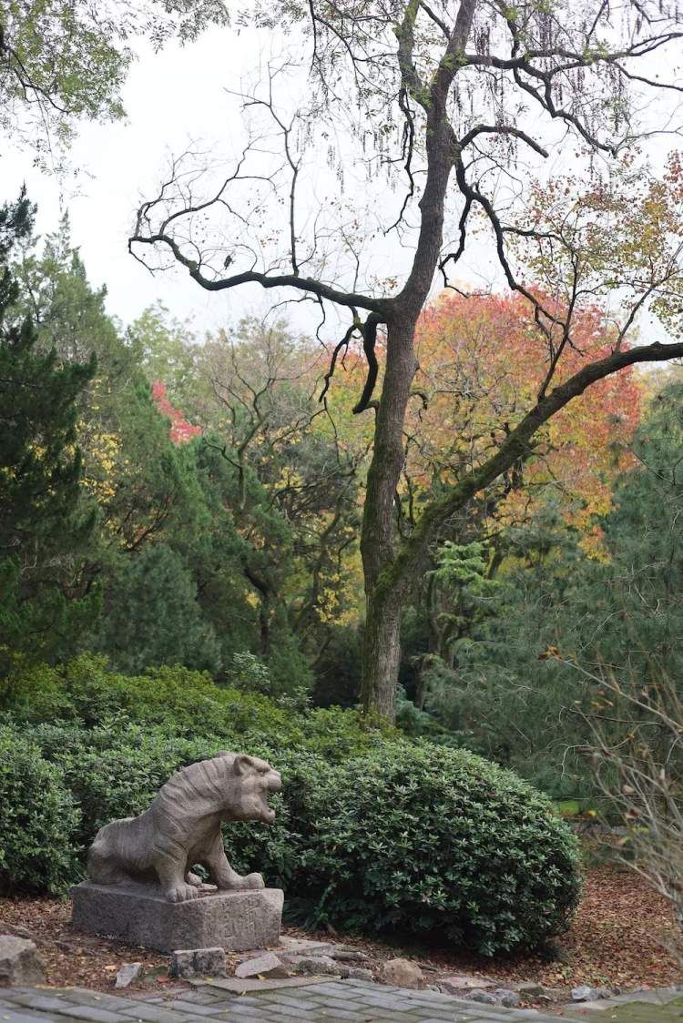 最值得打卡的动物园,国庆必打卡动物园推荐