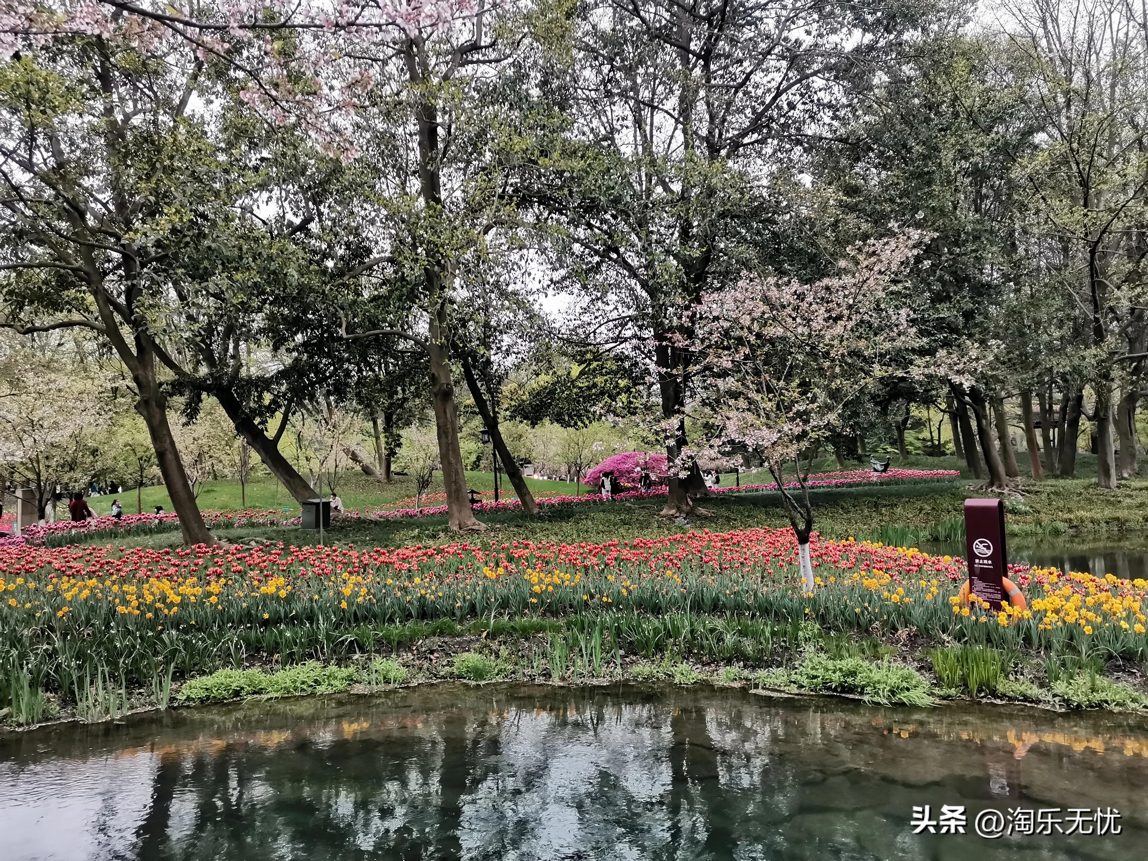 来杭州不要错过紧邻雷峰塔和苏堤的太子湾公园花展！#赏花地图