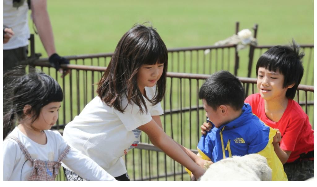 黄多多为什么遭人嫌弃,黄多多为什么那么成熟