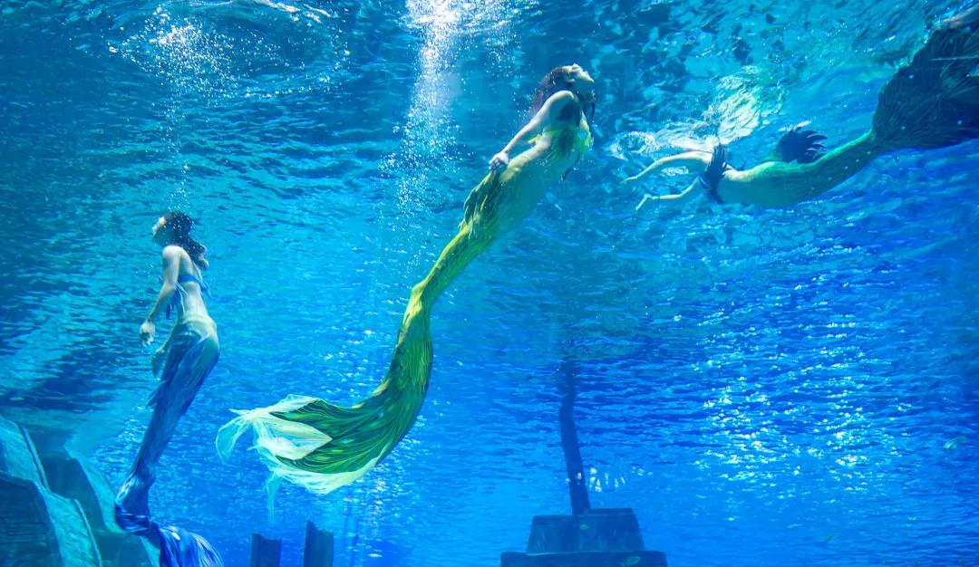 济南春天适合带孩子去的地方,济南春节亲子游