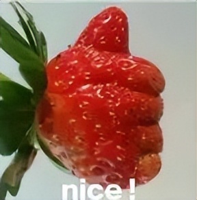 成都东边哪里好玩,成都东从哪个口进去