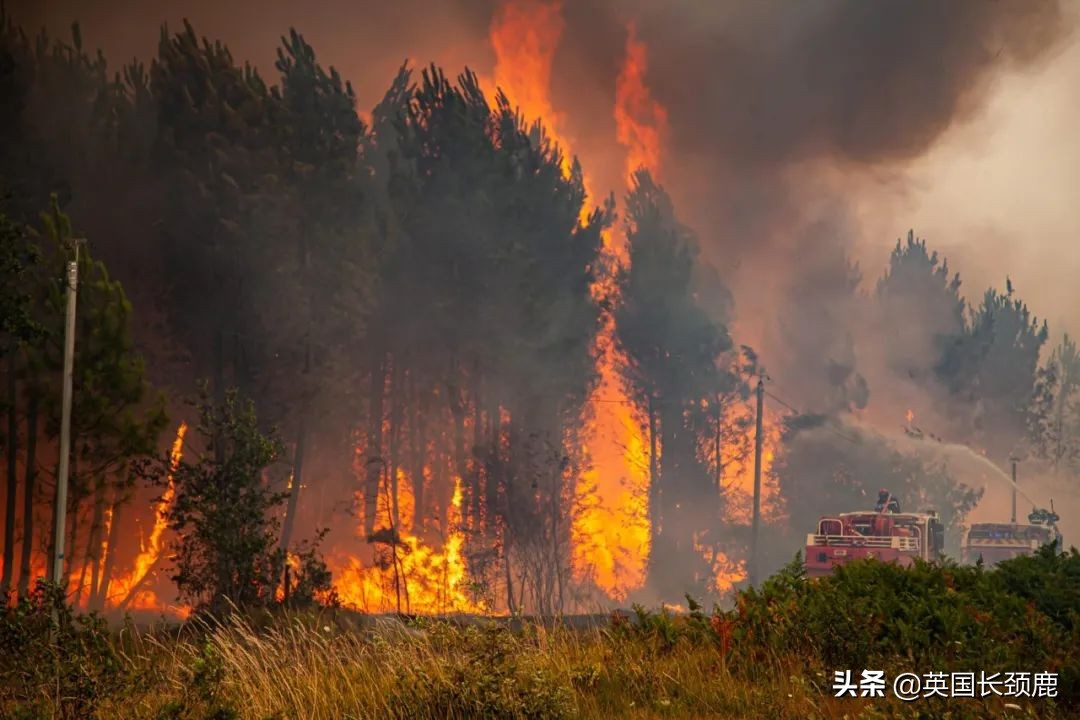 英国气象局发布极端红色高温预警,英国高温度来袭