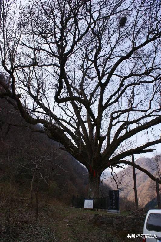 周至老县城露营,周至老县城厚畛子镇