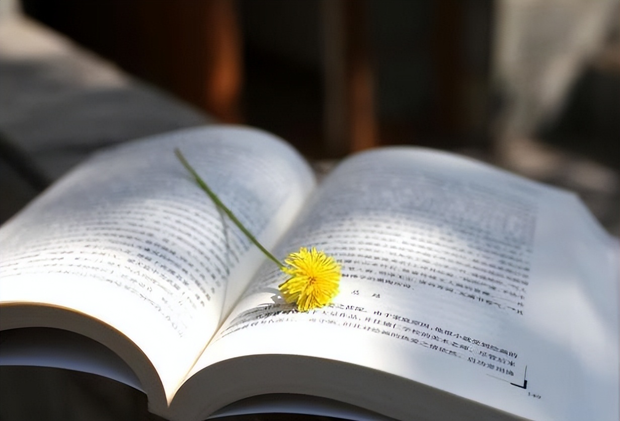 屁股大与身体有什么关系,屁股大是身体哪个部位不好