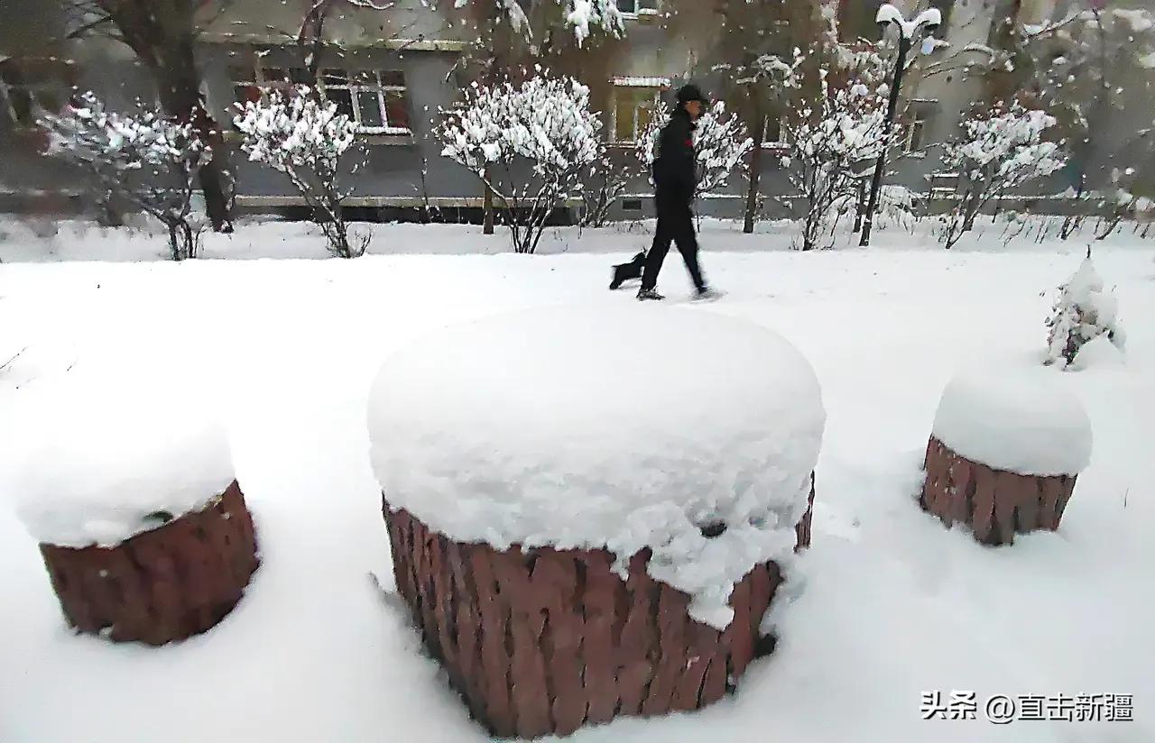 七日谈的故事,七日谈完整