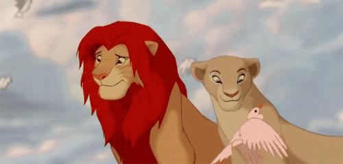 动物交配六亲不认,流浪雄狮长大后,若是遇到自己的母亲怎么办?