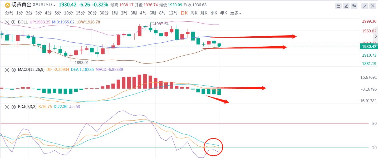 8.25黄金原油操作策略,8.5日原油期货分析