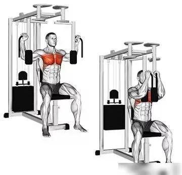 一周健身增肌训练计划,哑铃家庭一周训练计划