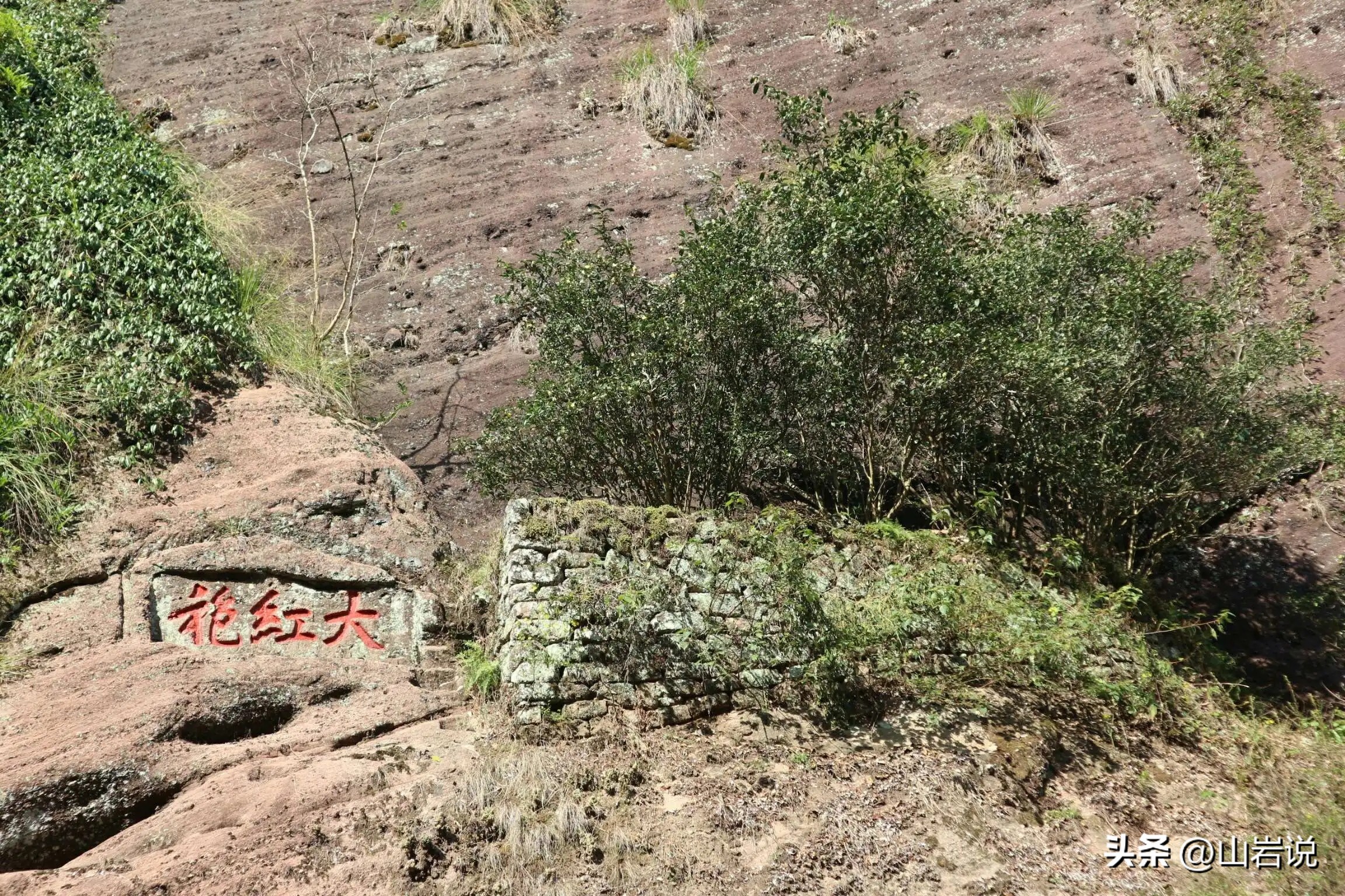 中国茶史,中国茶史书