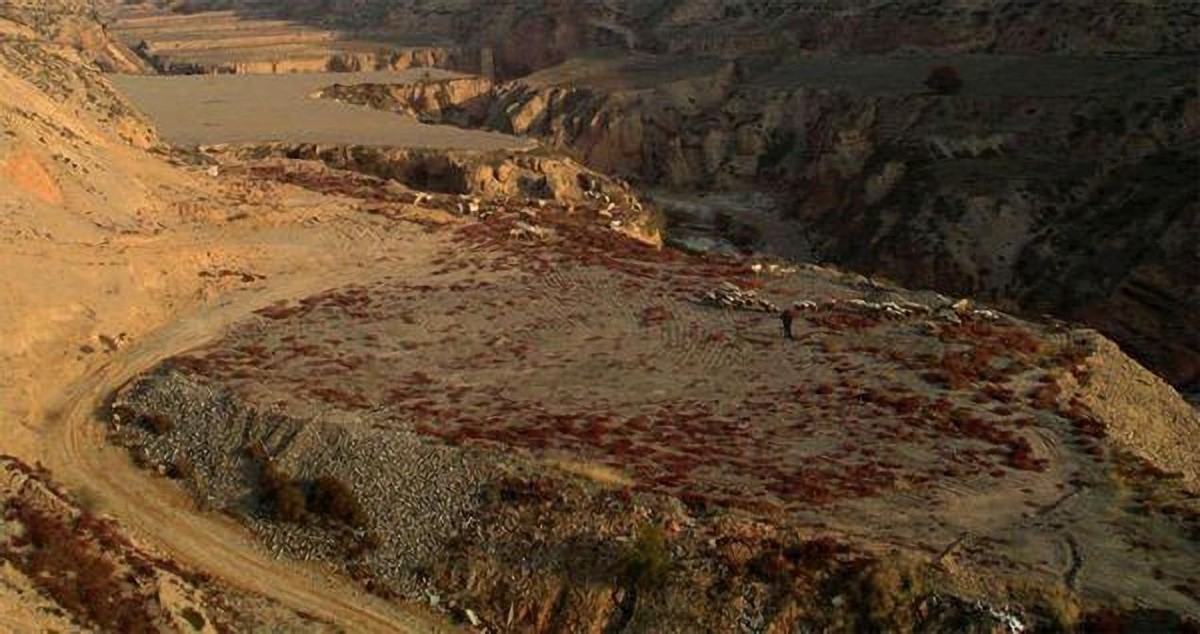 恐龙灭绝时到底发生了什么,恐龙灭绝时期的灾难