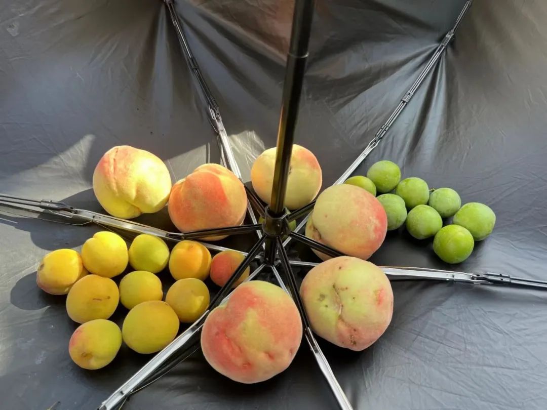 7月份人来人往街道,7月北京人山人海