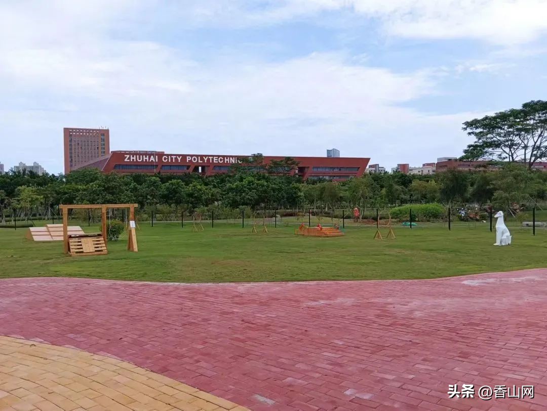 珠海唐家遛狗好去处,周末遛狗好去处乌鲁木齐