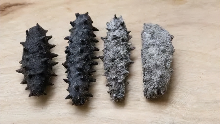 用海参下脚料造假海参 (造假的海参和真海参)