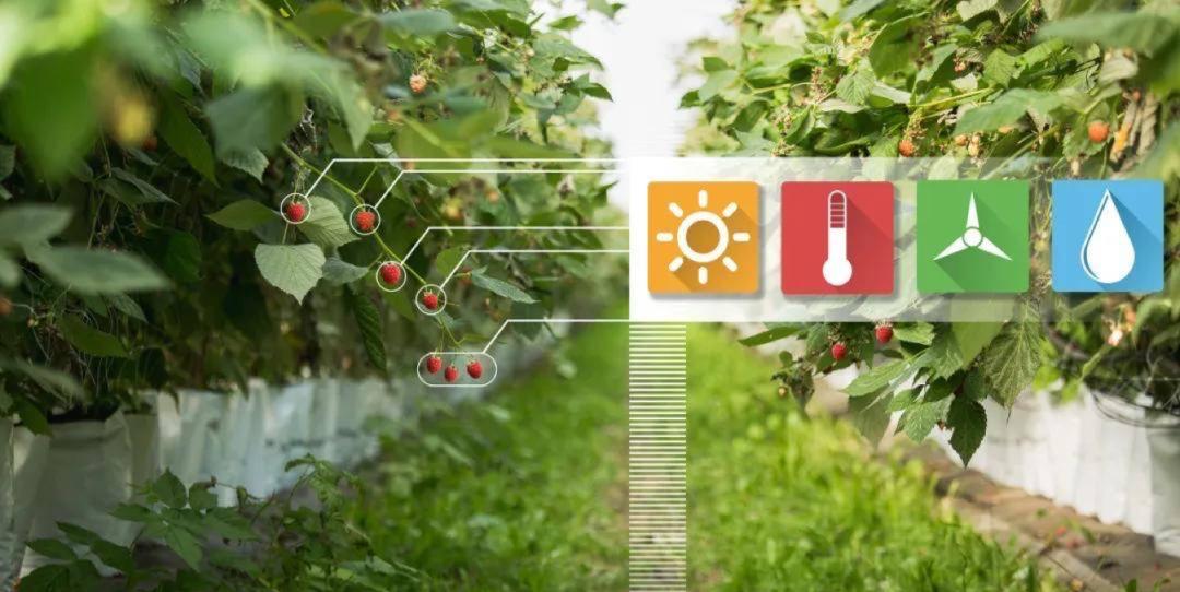 数字农业和智慧农业的区别,互联网背景下的智慧农业