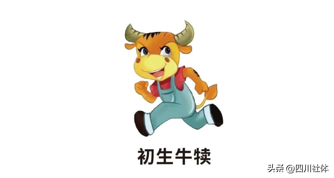 2022-2023年中国飞盘联赛·总决赛——上海站巡礼